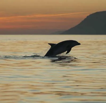 Wonderful Place Affittacamere Setúbal